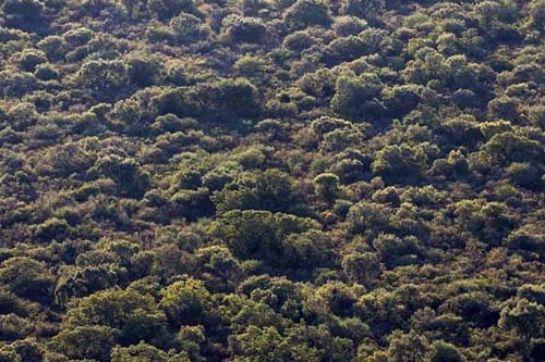 Traslasierra, el segundo parque nacional de Córdoba